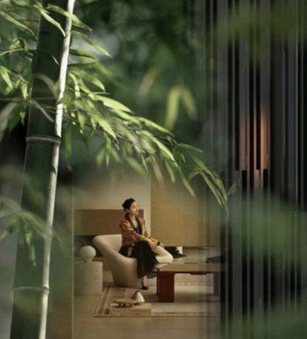 Lối dạo giữa cây xanh